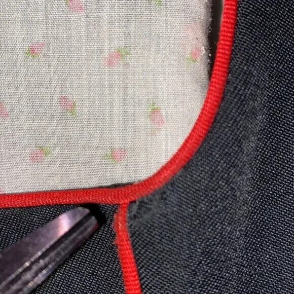 Vintage Licht Trachtenhaus Dress Holland German Dirndl Square Dance Rose Size 12 - Picture 5 of 15